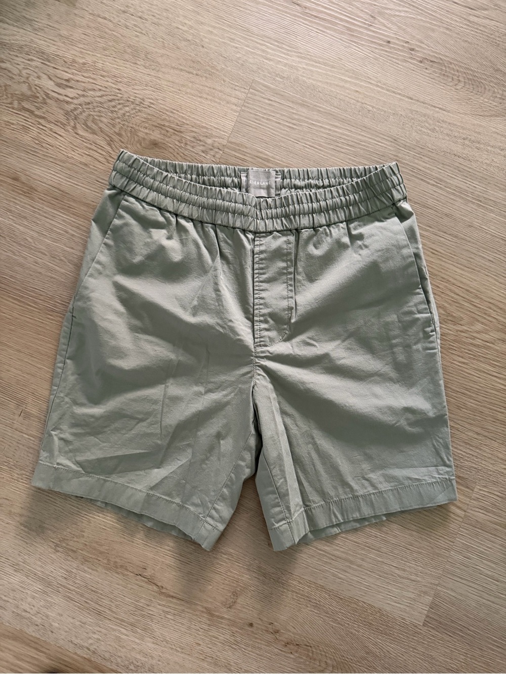 Everlane Men's Sage Elastic-Waist Hybrid Shorts
